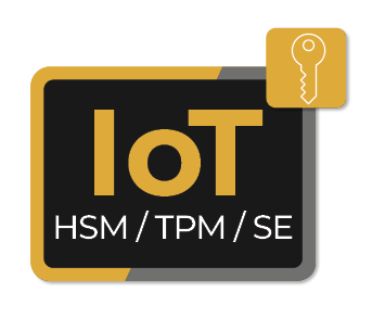 IoT Hardware Security